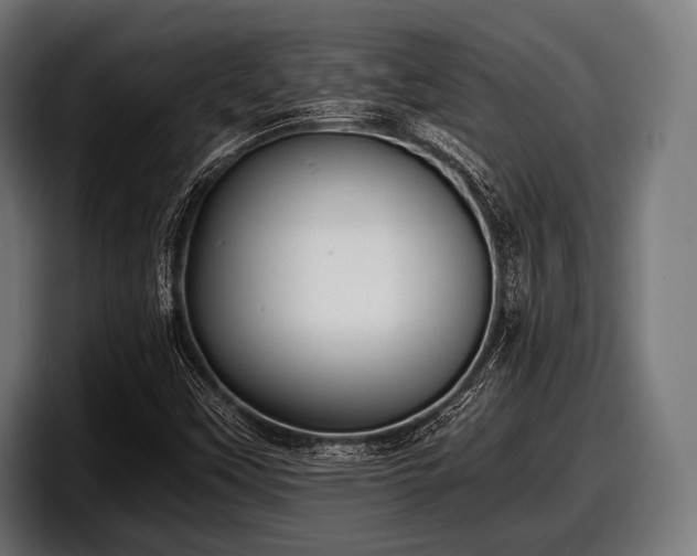 X0000097801451200803201347