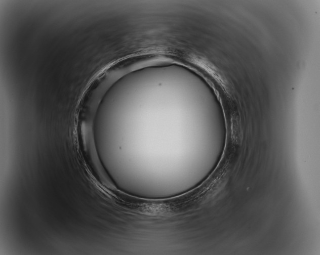 X0000097801452200803201347