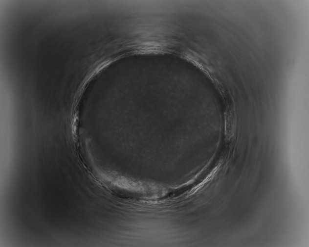 X0000097801453200803201347