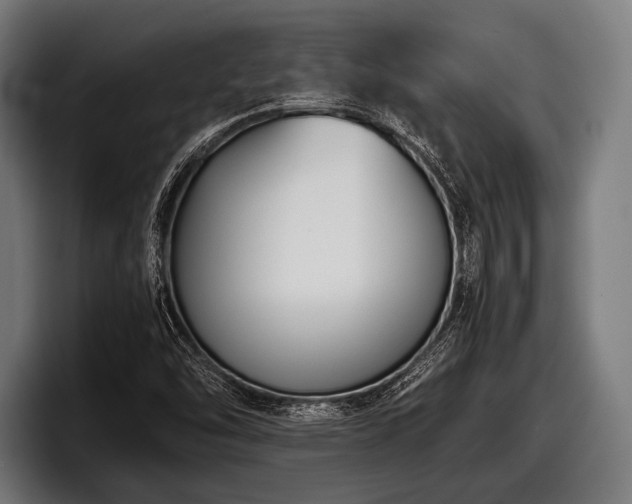 X0000097801454200803201347