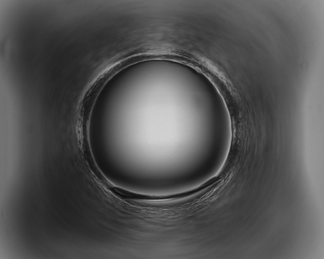 X0000097801456200803201347