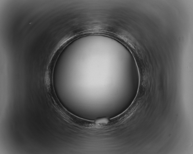 X0000097801458200803201347