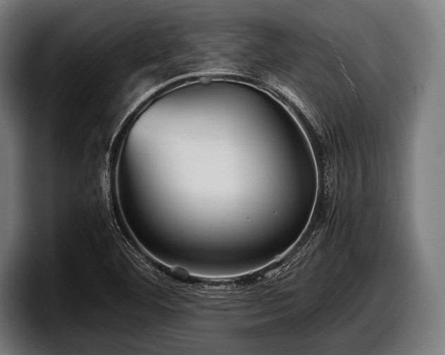 X0000097801460200803201347