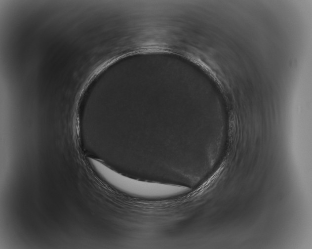 X0000097801461200803201347