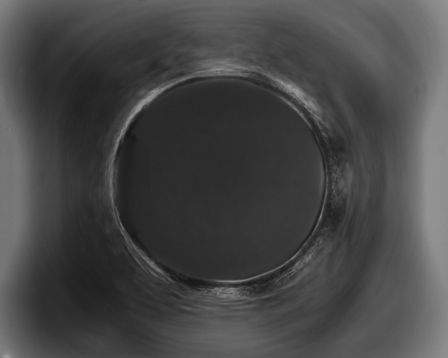 X0000097801463200803201347