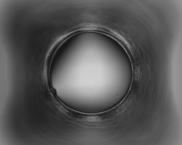 X0000097801464200803201347