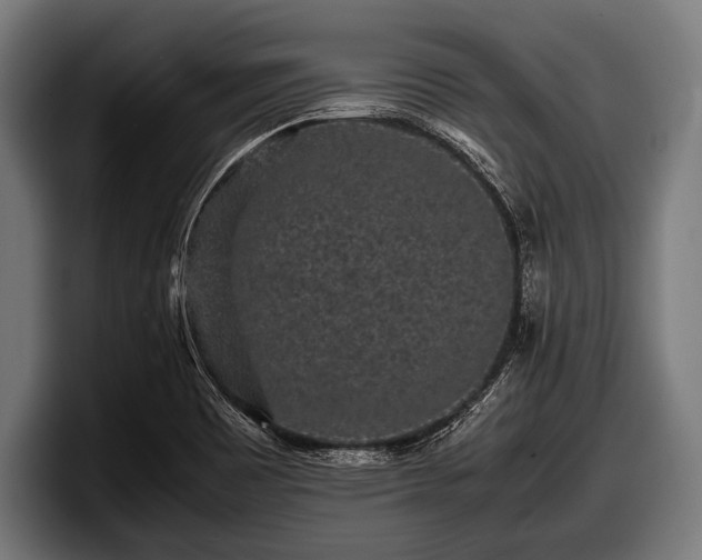 X0000097801465200803201347