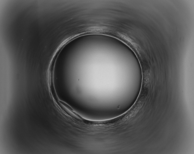 X0000097801467200803201347