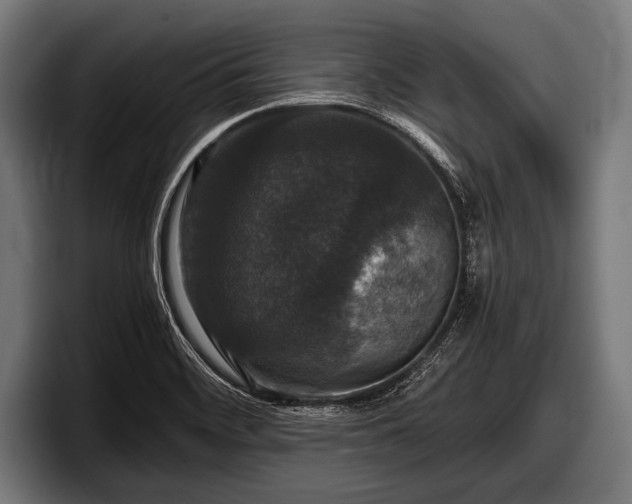 X0000097801468200803201347