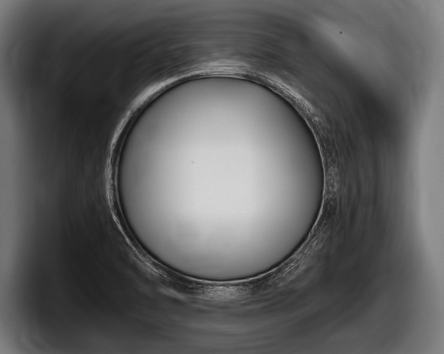 X0000097801470200803201347