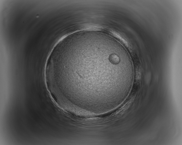 X0000097801471200803201347