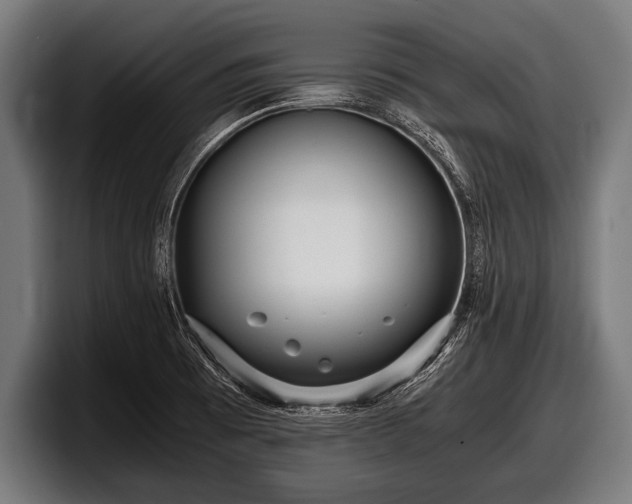 X0000097801473200803201347