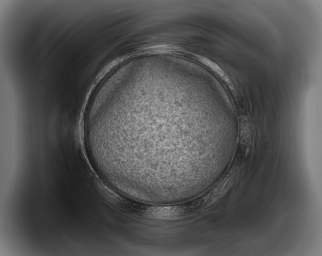 X0000097801474200803201347