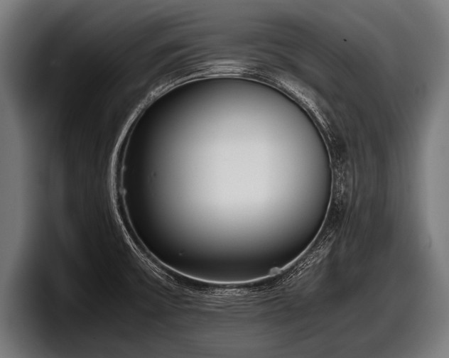 X0000097801475200803201347