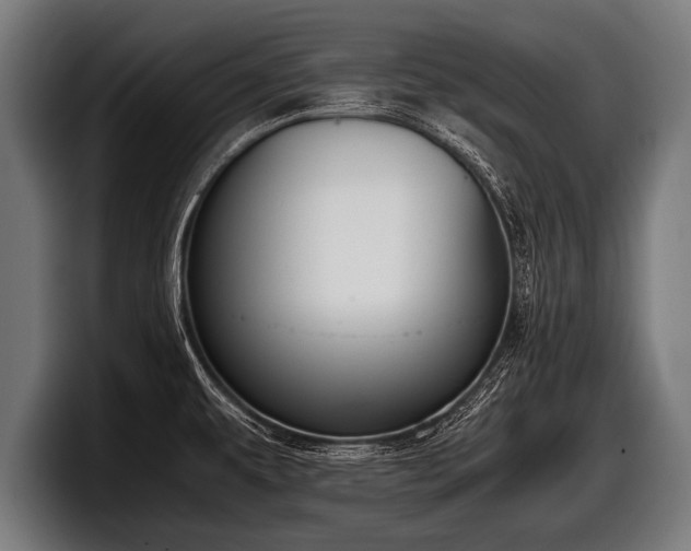 X0000097801479200803201347