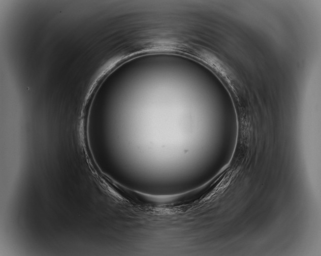 X0000097801480200803201347