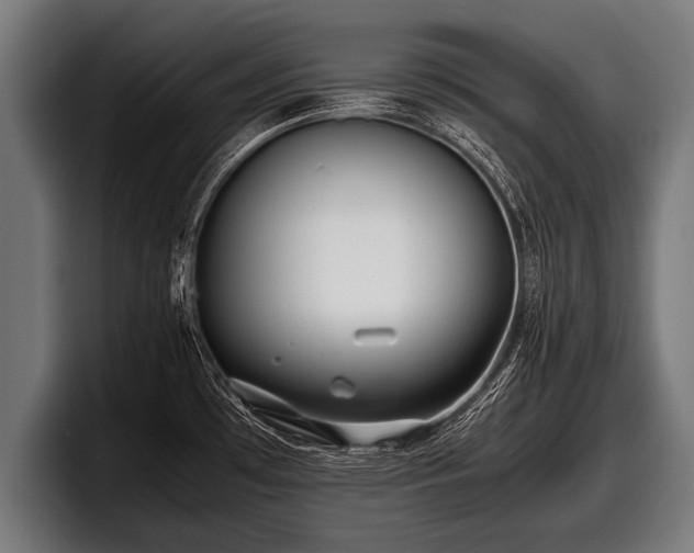 X0000097801481200803201347