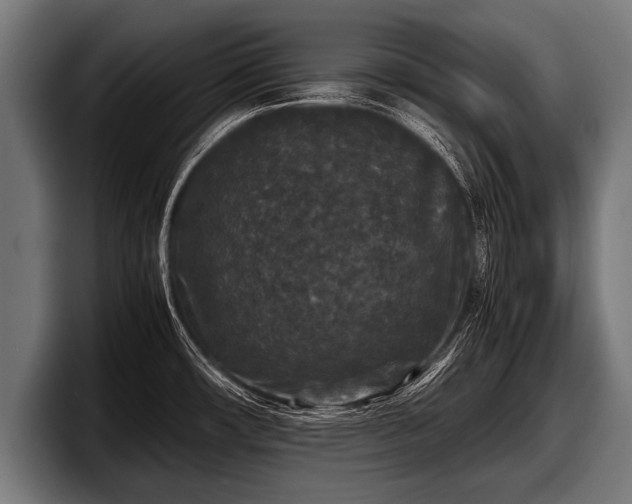 X0000097801482200803201347