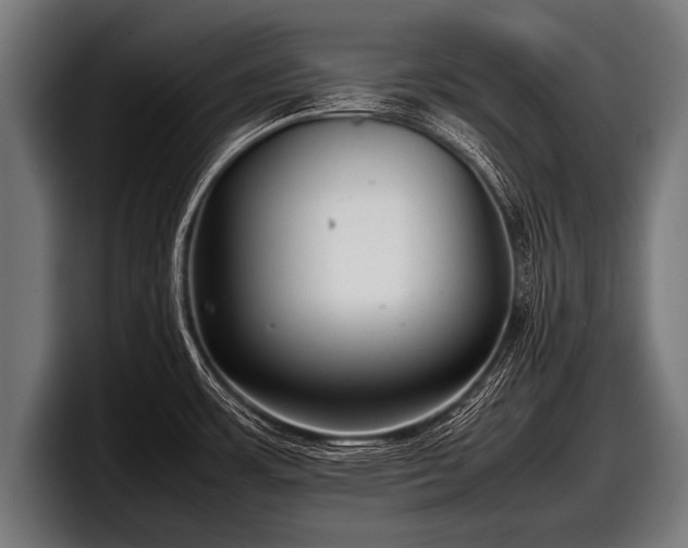 X0000097801483200803201347