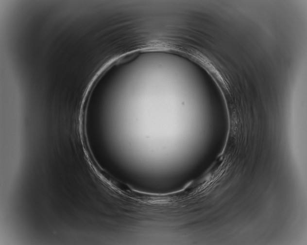 X0000097801484200803201347