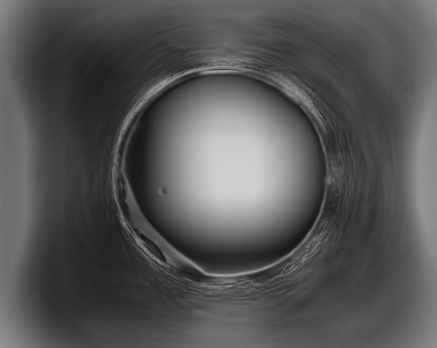 X0000097801485200803201347