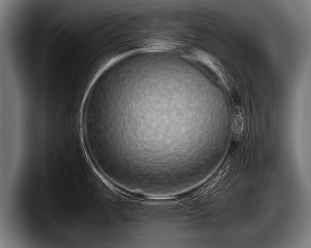 X0000097801487200803201347