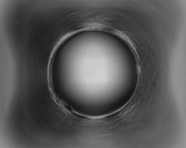 X0000097801488200803201347