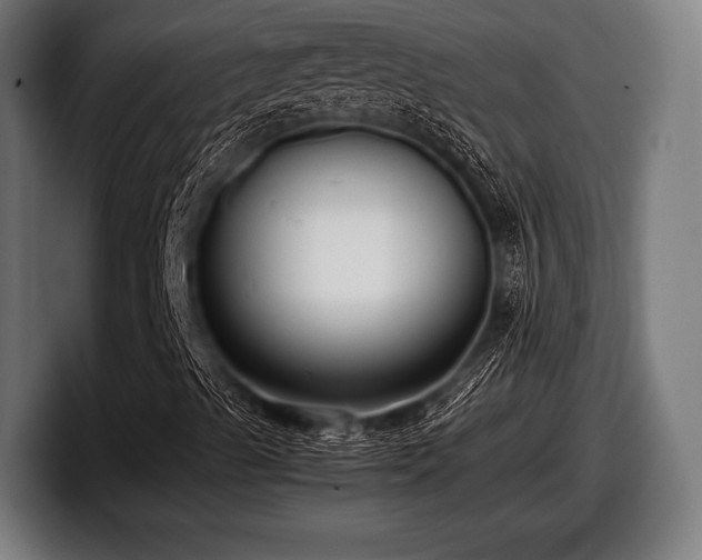 X0000097801489200803201346