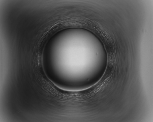 X0000097801490200803201346