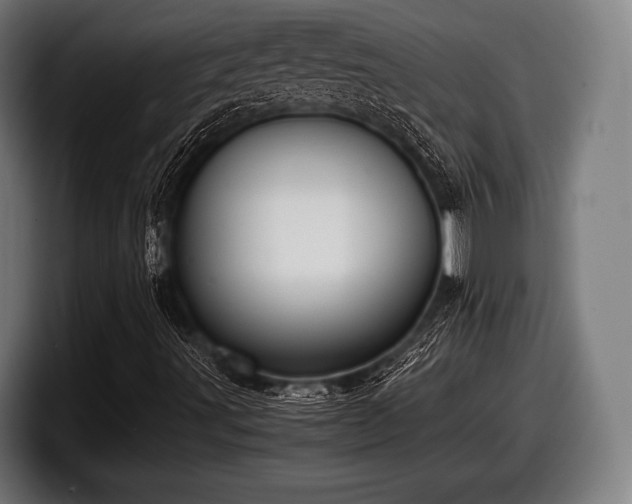 X0000097801491200803201346