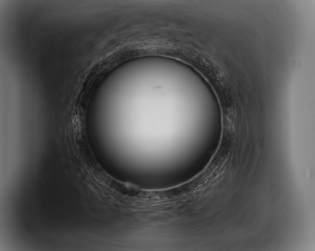 X0000097801493200803201346