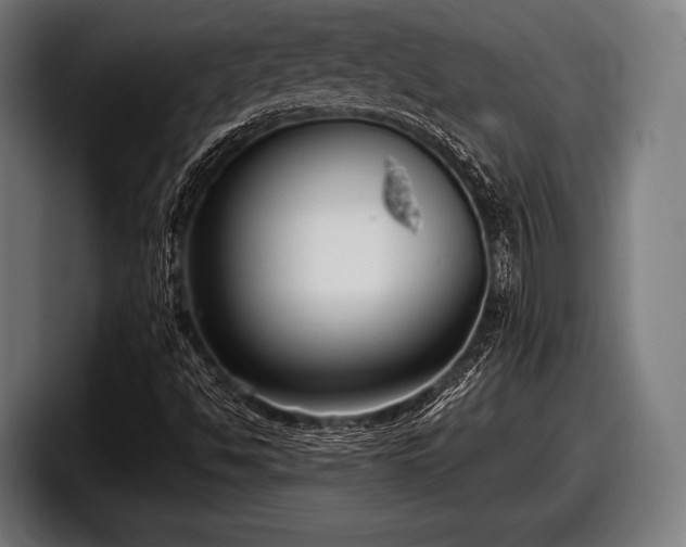 X0000097801494200803201346