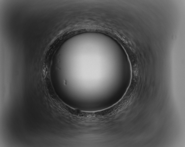 X0000097801495200803201346