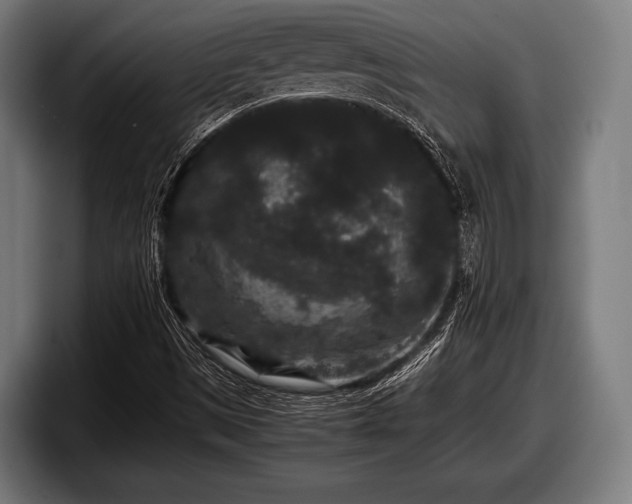 X0000097801497200803201346