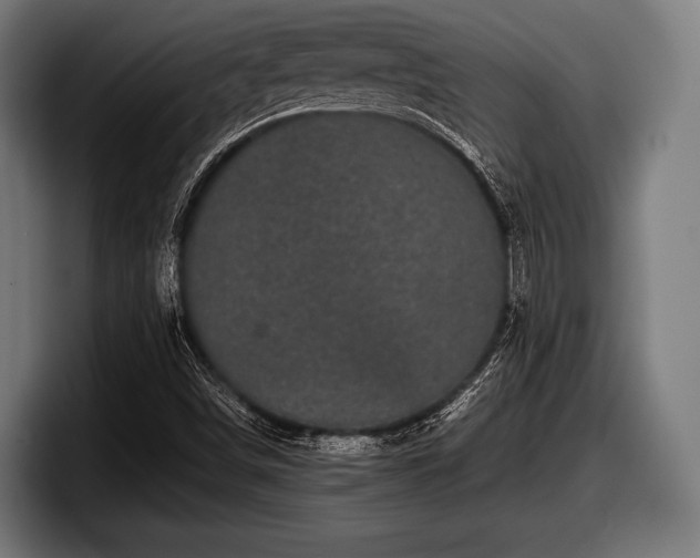 X0000097801498200803201346