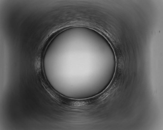 X0000097801499200803201346