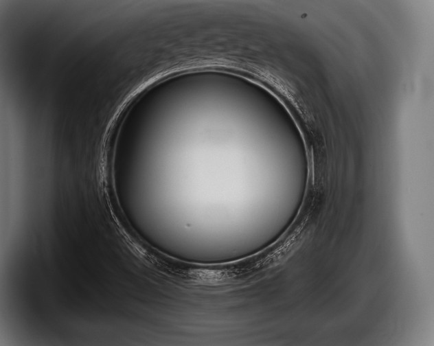 X0000097801500200803201346