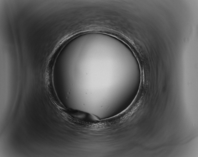 X0000097801501200803201346