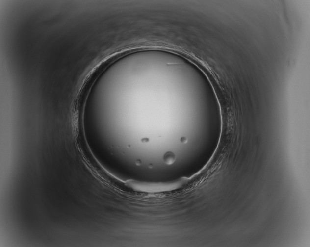 X0000097801503200803201346