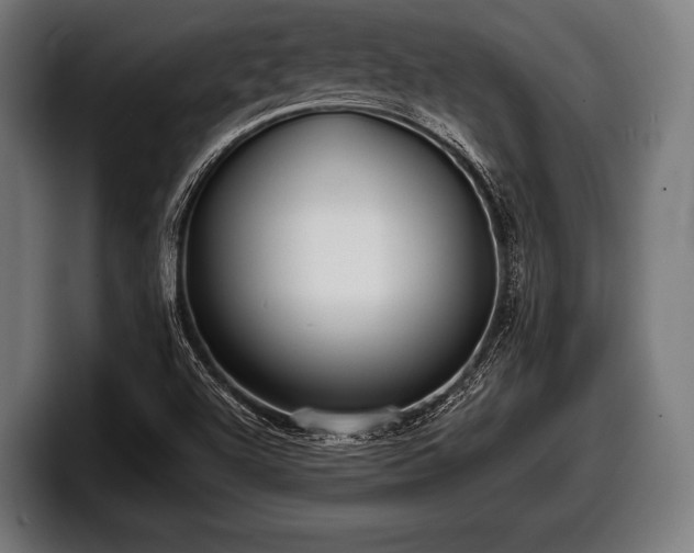 X0000097801504200803201346