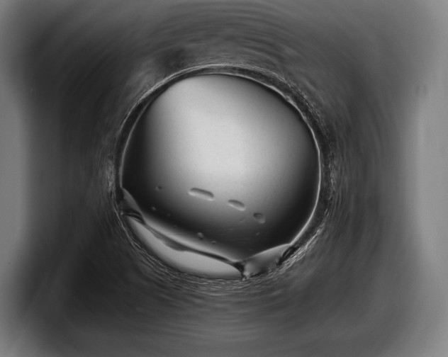 X0000097801505200803201346