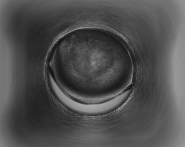 X0000097801506200803201346