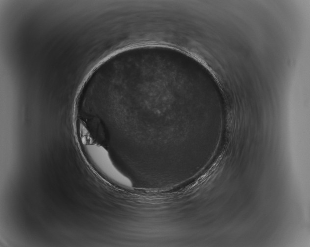 X0000097801508200803201346