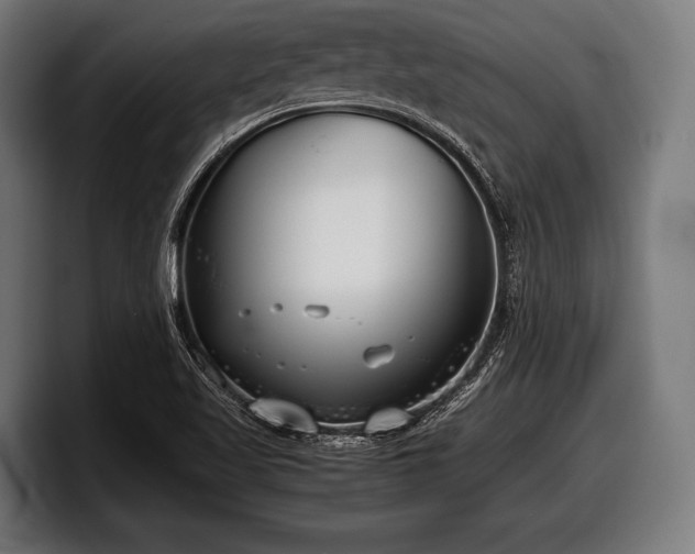 X0000097801509200803201346