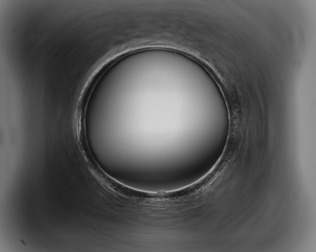 X0000097801511200803201346