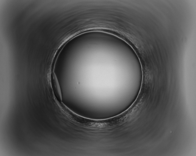 X0000097801513200803201346