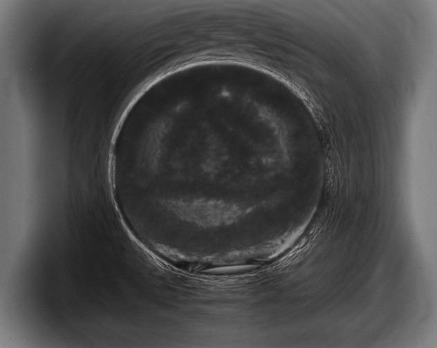 X0000097801527200803201347