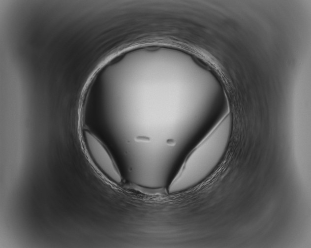 X0000097801528200803201347