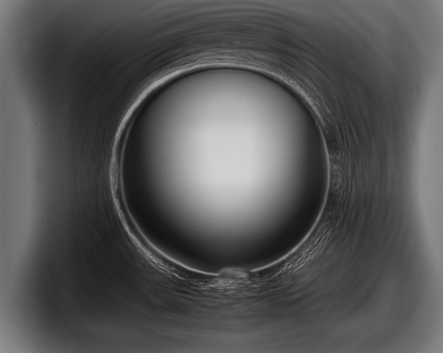 X0000097801531200803201347