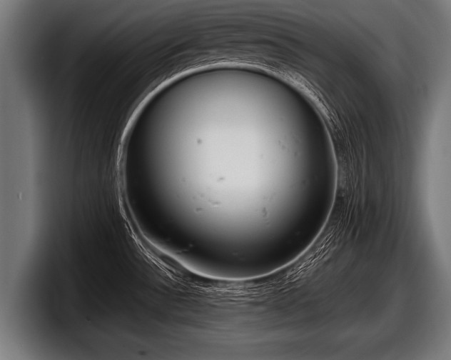 X0000097801532200803201347